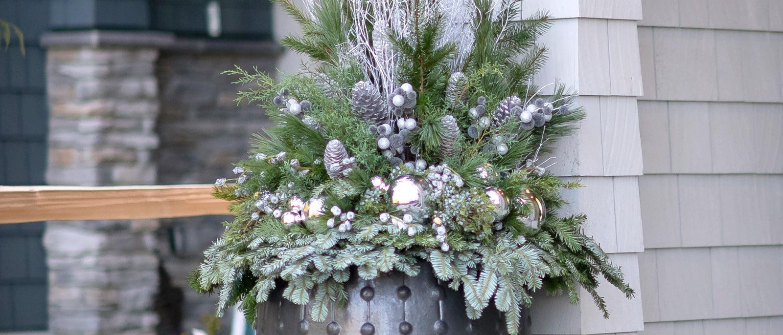 DIY Silver & White Winter Planter – West Coast Gardens